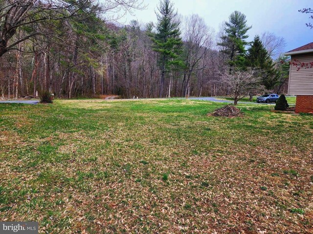 2488 Dry Run Rd, Luray, VA 22835 - view of grassy yard with a forest view