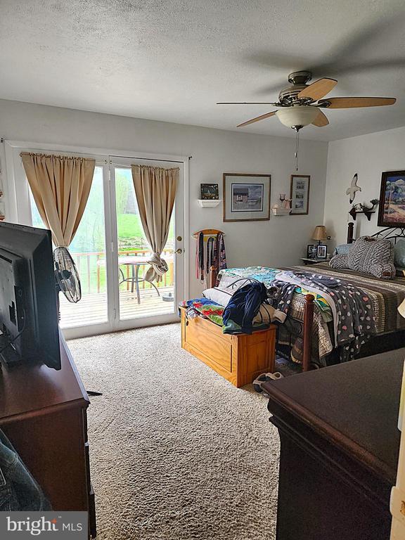 2488 Dry Run Rd, Luray, VA 22835 - bedroom with carpet, access to exterior, a ceiling fan, and a textured ceiling