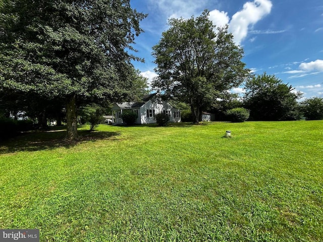 8060 James Monroe Hwy, Culpeper, VA 22701 - photo 20
