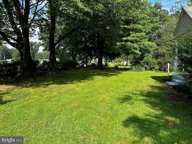 8060 James Monroe Hwy, Culpeper, VA 22701 - photo 19
