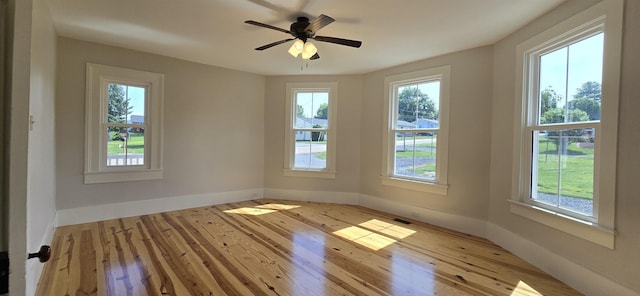 242 1st St, Broadway, VA 22815 - unfurnished room featuring plenty of natural light and wood-type flooring