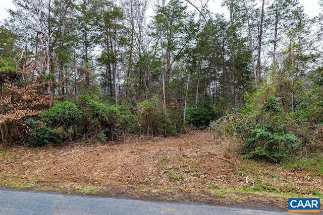 717 Cedar Meadow Dr, Nellysford, VA 22958