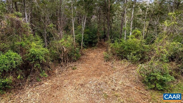 717 Cedar Meadow Dr, Nellysford, VA 22958