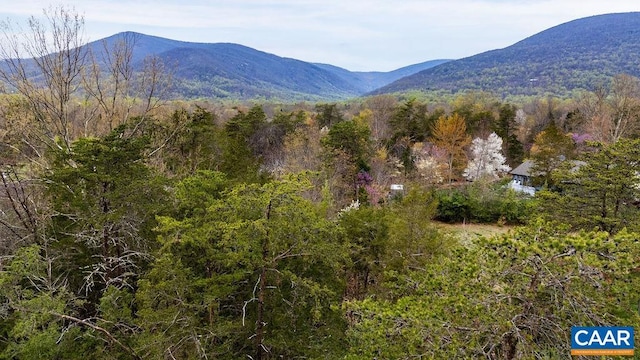 717 Cedar Meadow Dr, Nellysford, VA 22958