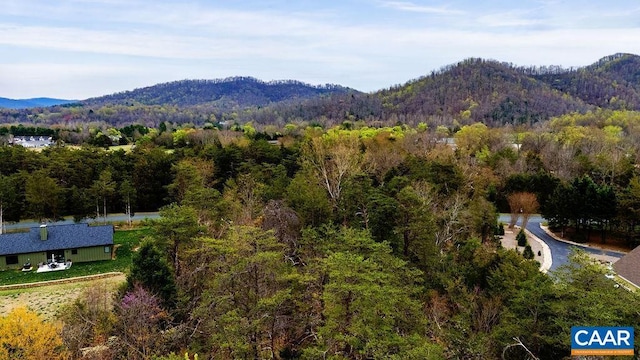 717 Cedar Meadow Dr, Nellysford, VA 22958
