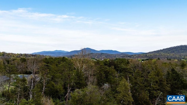 717 Cedar Meadow Dr, Nellysford, VA 22958