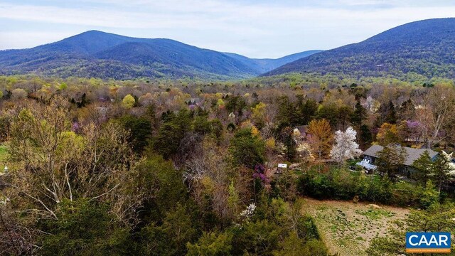 717 Cedar Meadow Dr, Nellysford, VA 22958