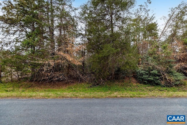 717 Cedar Meadow Dr, Nellysford, VA 22958