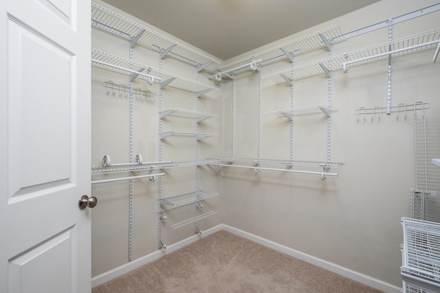 233 Overview St, Waynesboro, VA 22980 - spacious closet featuring carpet flooring