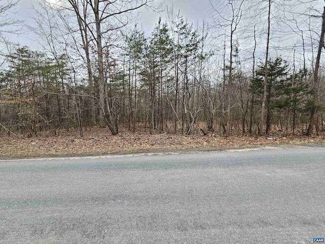 TBD Evans Mills Rd, Dillwyn, VA 23936