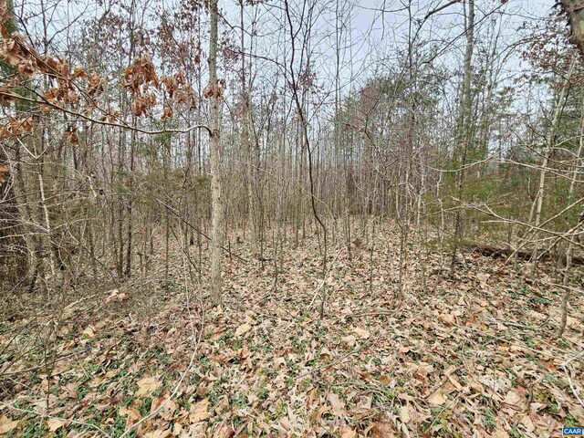 TBD Evans Mills Rd, Dillwyn, VA 23936