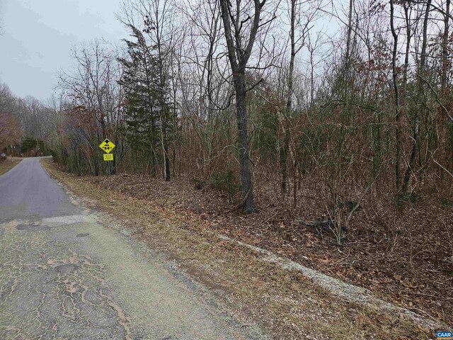 TBD Evans Mills Rd, Dillwyn, VA 23936