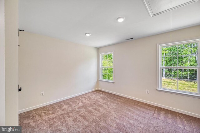265 Oak Haven Dr, Mineral, VA 23117 - photo 33