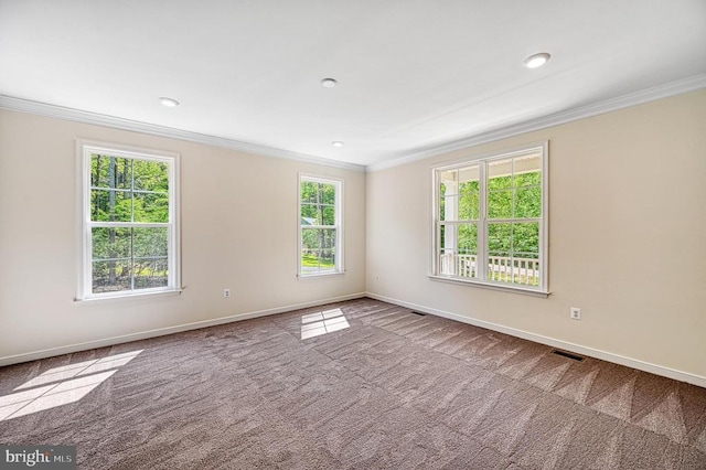 265 Oak Haven Dr, Mineral, VA 23117 - photo 20