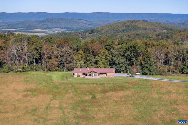 31 Good View Dr, Raphine, VA 22472 - photo 18