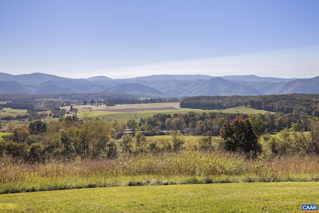 31 Good View Dr, Raphine, VA 22472 - photo 24