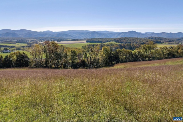 31 Good View Dr, Raphine, VA 22472 - photo 27