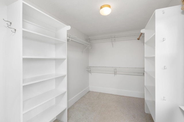 199 Hermitage Rd, Staunton, VA 24401 - walk in closet with carpet floors