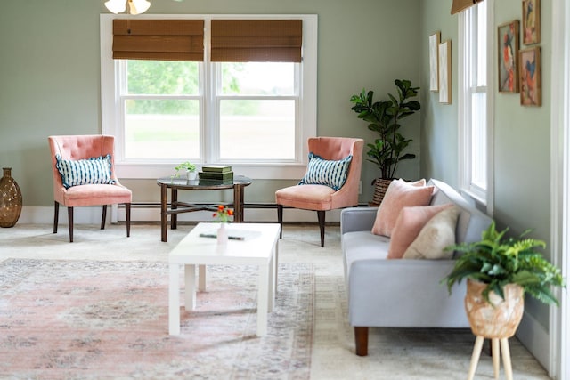 199 Hermitage Rd, Staunton, VA 24401 - view of living area
