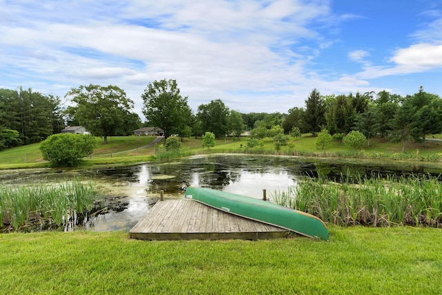 199 Hermitage Rd, Staunton, VA 24401 - surrounding community featuring a lawn and a water view
