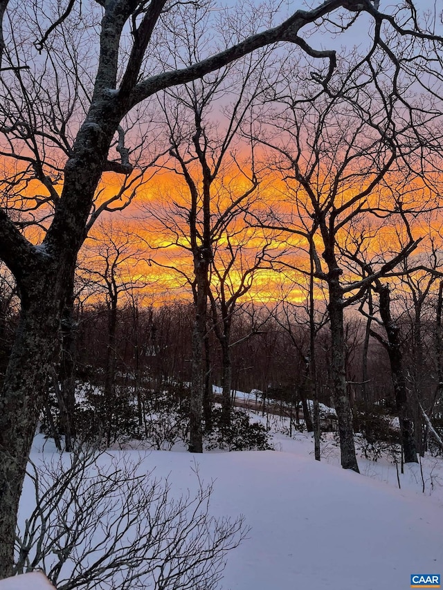 127 Blackrock Cir, Roseland, VA 22967 - view of yard covered in snow