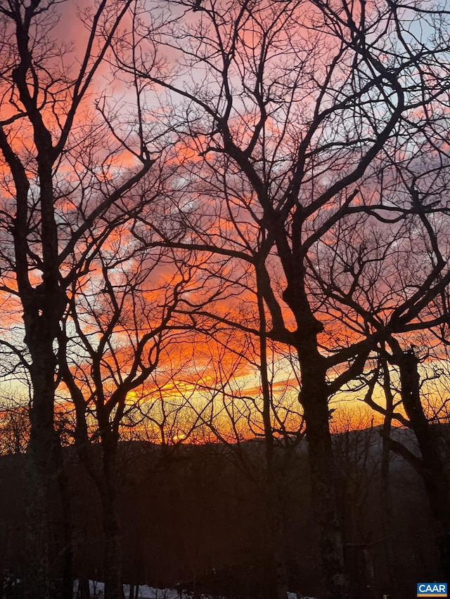 127 Blackrock Cir, Roseland, VA 22967 - view of nature at dusk