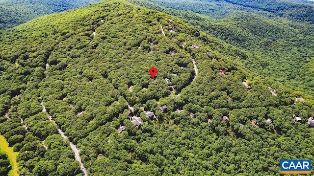 127 Blackrock Cir, Roseland, VA 22967 - aerial view of a forest