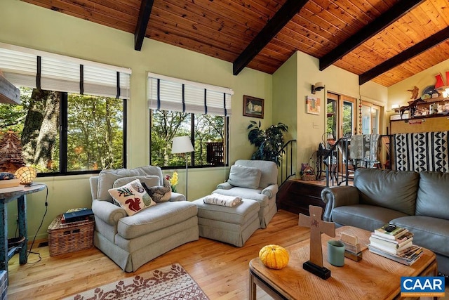 127 Blackrock Cir, Roseland, VA 22967 - living room featuring wood finished floors and wooden ceiling
