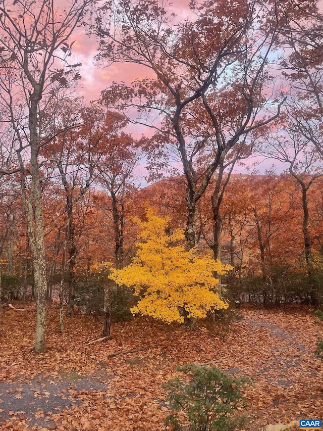 127 Blackrock Cir, Roseland, VA 22967 - view of woods