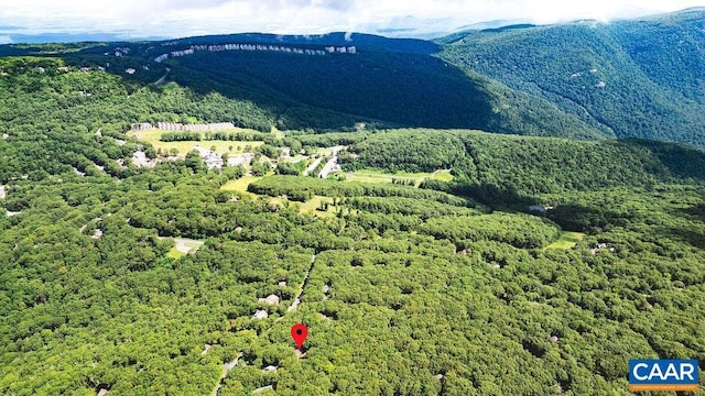 127 Blackrock Cir, Roseland, VA 22967 - view of mountain backdrop featuring a forest