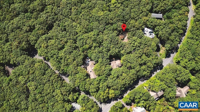 127 Blackrock Cir, Roseland, VA 22967 - aerial view of property's location
