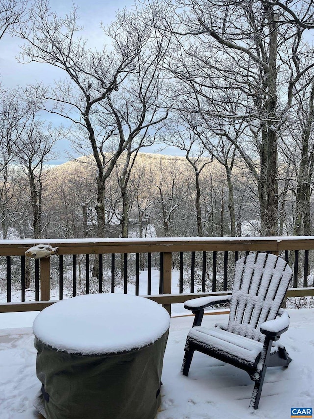 127 Blackrock Cir, Roseland, VA 22967 - view of snow covered deck