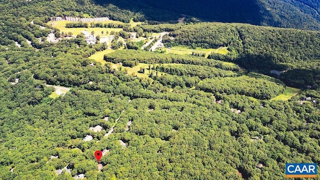 127 Blackrock Cir, Roseland, VA 22967 - aerial view of property's location with a forest