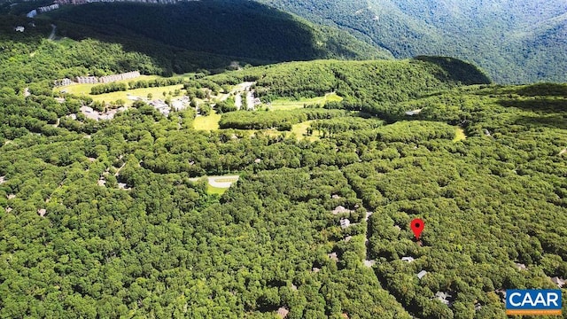 127 Blackrock Cir, Roseland, VA 22967 - aerial view of a heavily wooded area