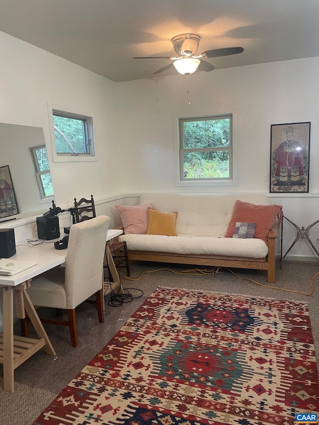 127 Blackrock Cir, Roseland, VA 22967 - carpeted office space featuring ceiling fan