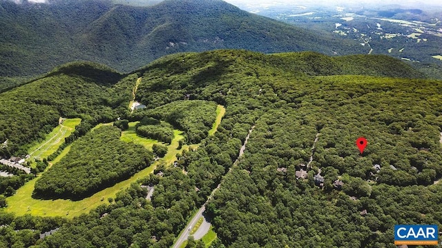 127 Blackrock Cir, Roseland, VA 22967 - bird's eye view of a mountainous background
