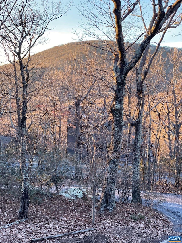 127 Blackrock Cir, Roseland, VA 22967 - view of mountain backdrop