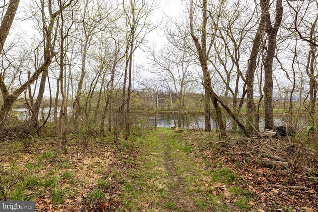 147 Fishermans Ln, Luray, VA 22835 - water view