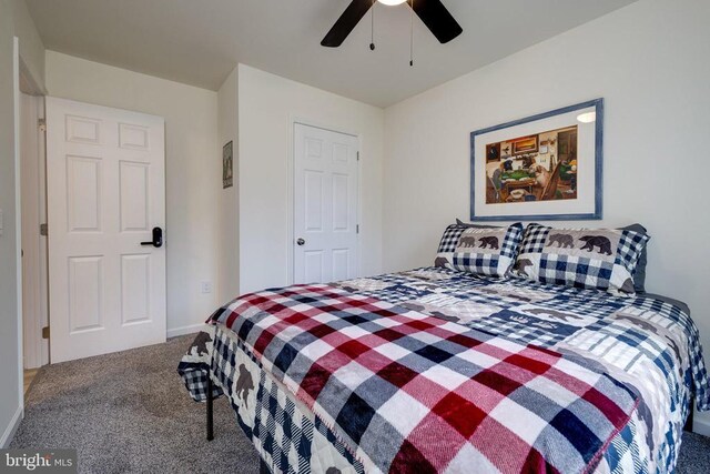 147 Fishermans Ln, Luray, VA 22835 - carpeted bedroom with ceiling fan