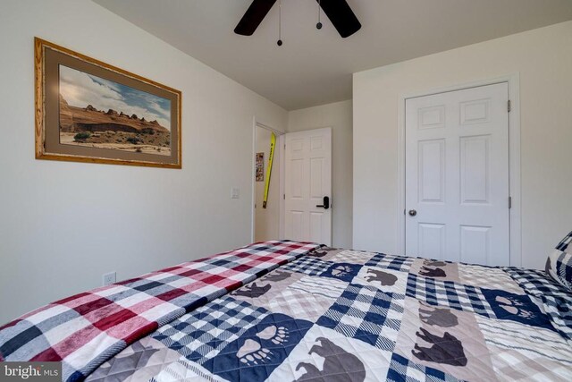 147 Fishermans Ln, Luray, VA 22835 - bedroom featuring a ceiling fan
