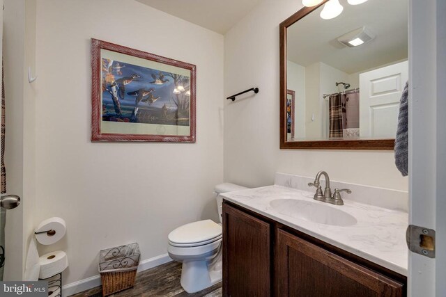 147 Fishermans Ln, Luray, VA 22835 - bathroom featuring toilet, vanity, wood finished floors, baseboards, and a shower with shower curtain