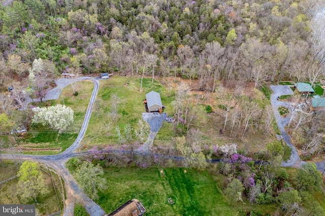 147 Fishermans Ln, Luray, VA 22835 - aerial view of property's location