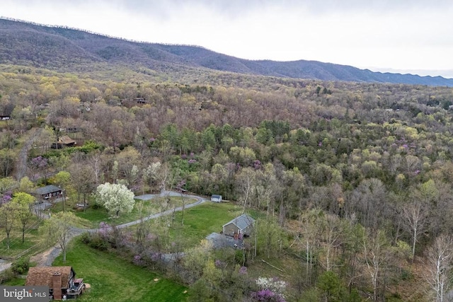 147 Fishermans Ln, Luray, VA 22835 - aerial view of property's location with a heavily wooded area and mountains