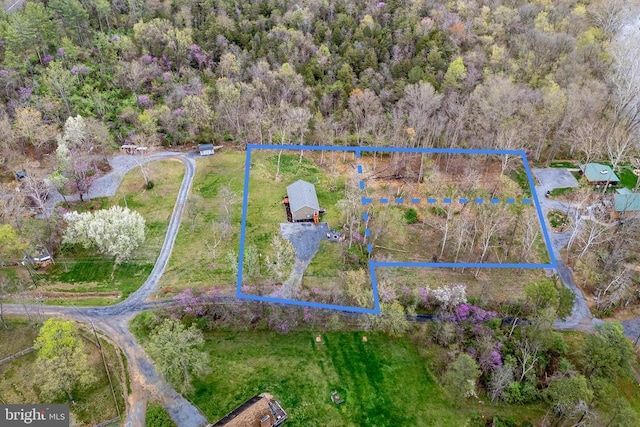 147 Fishermans Ln, Luray, VA 22835 - aerial view of property's location with property boundaries highlighted