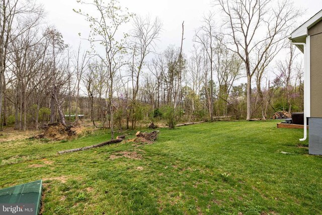 147 Fishermans Ln, Luray, VA 22835 - view of green lawn