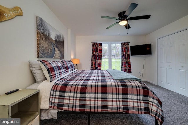 147 Fishermans Ln, Luray, VA 22835 - bedroom featuring carpet, a closet, and ceiling fan