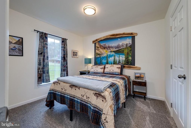 147 Fishermans Ln, Luray, VA 22835 - bedroom with carpet flooring and baseboards