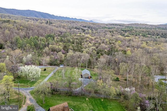 147 Fishermans Ln, Luray, VA 22835 - view of subject property with a forest and mountains