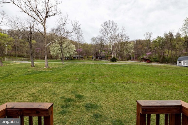 147 Fishermans Ln, Luray, VA 22835 - view of grassy yard