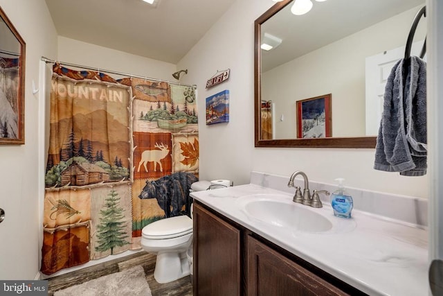 147 Fishermans Ln, Luray, VA 22835 - bathroom featuring wood finished floors, vanity, toilet, and a shower with shower curtain